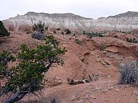 kodachrome basin (30).JPG